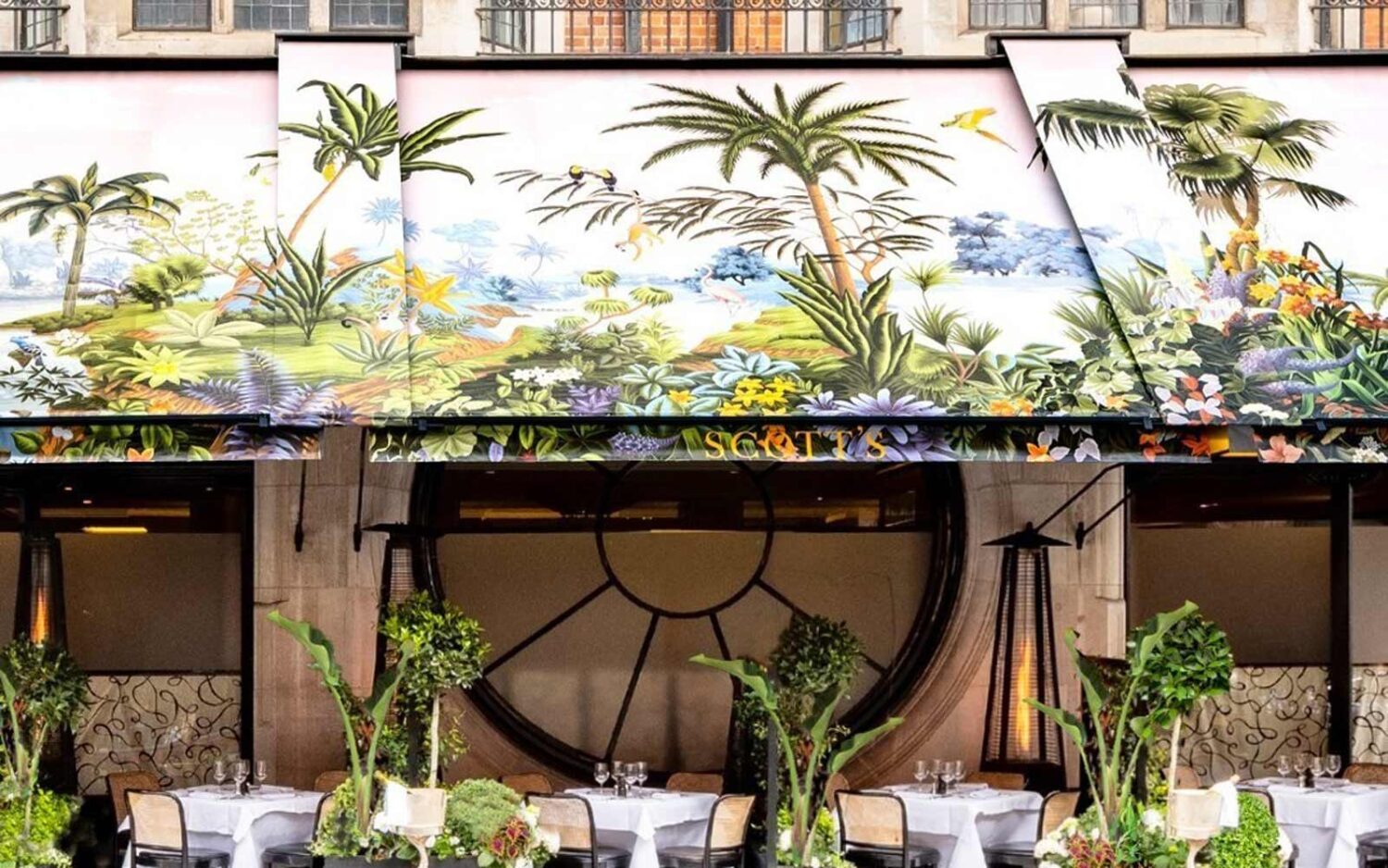 Retractable Awning